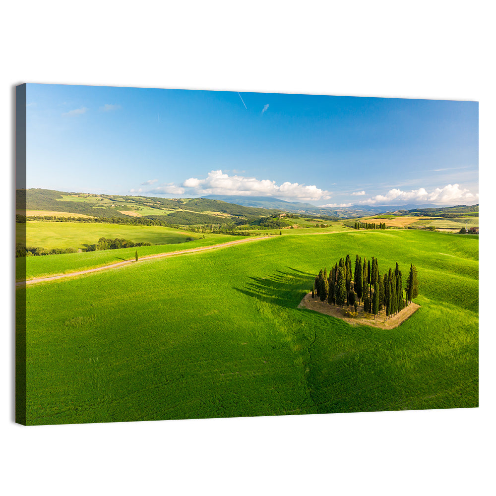 Italian Cypresses on Rolling Hills Wall Art, canvas print, landscape