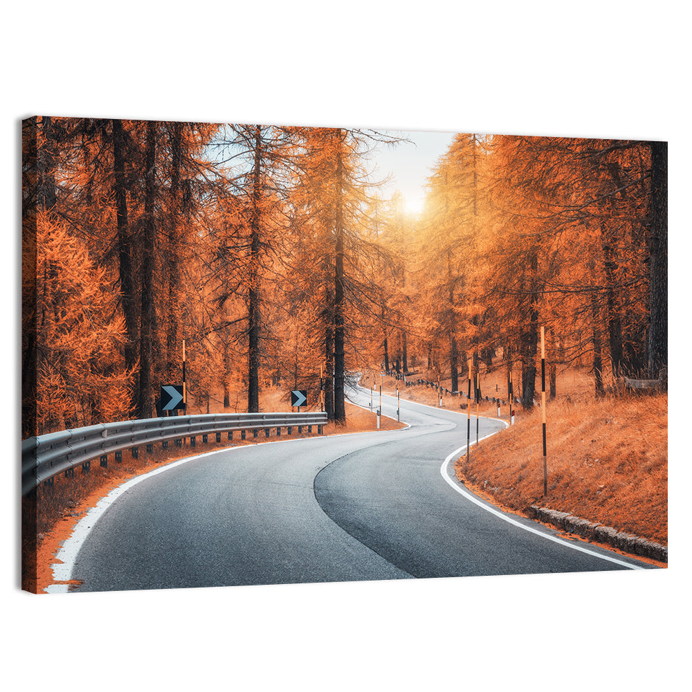 Road In Autumn Forest At Sunset Wall Art