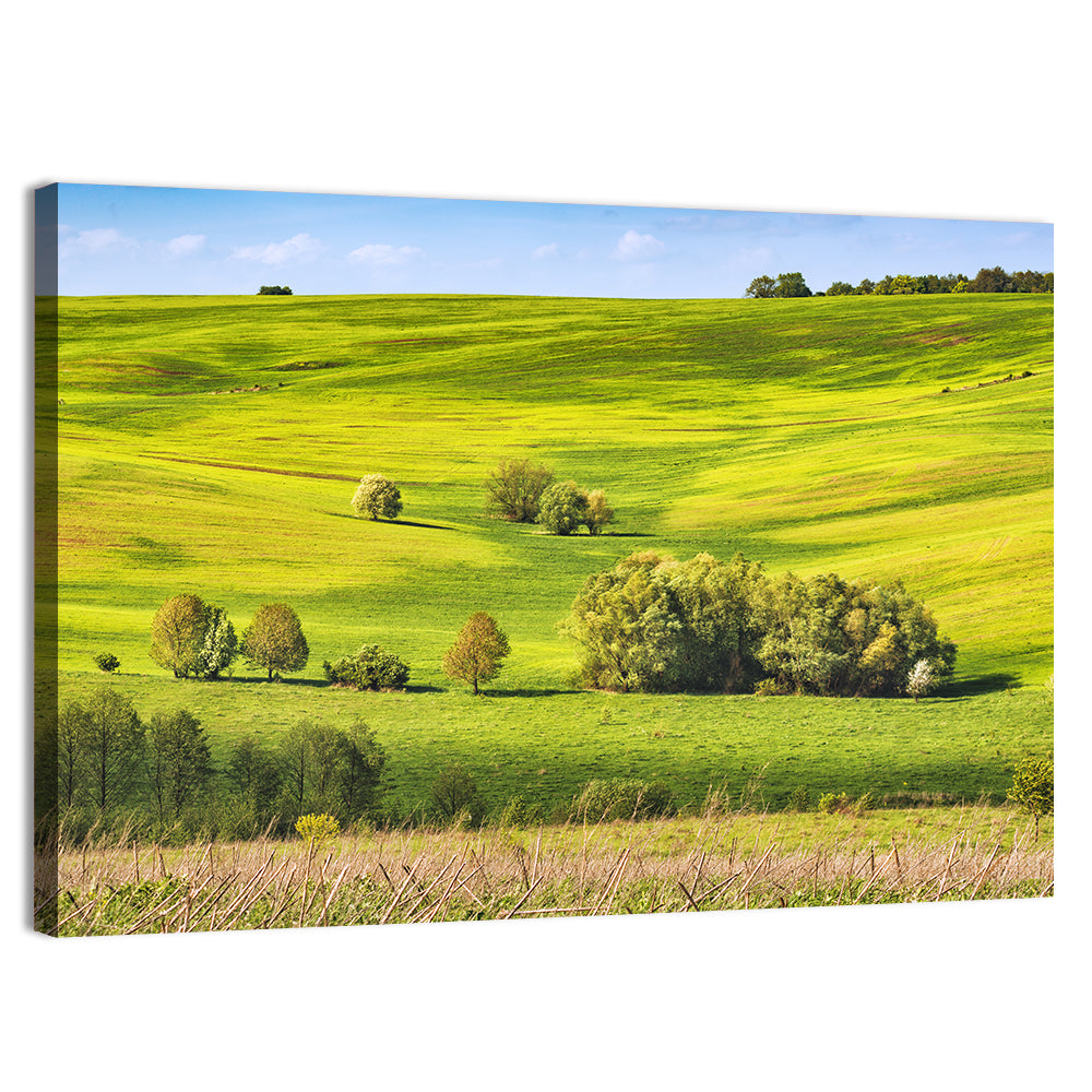 Rolling Hills of Ukraine Wall Art, canvas print, landscape