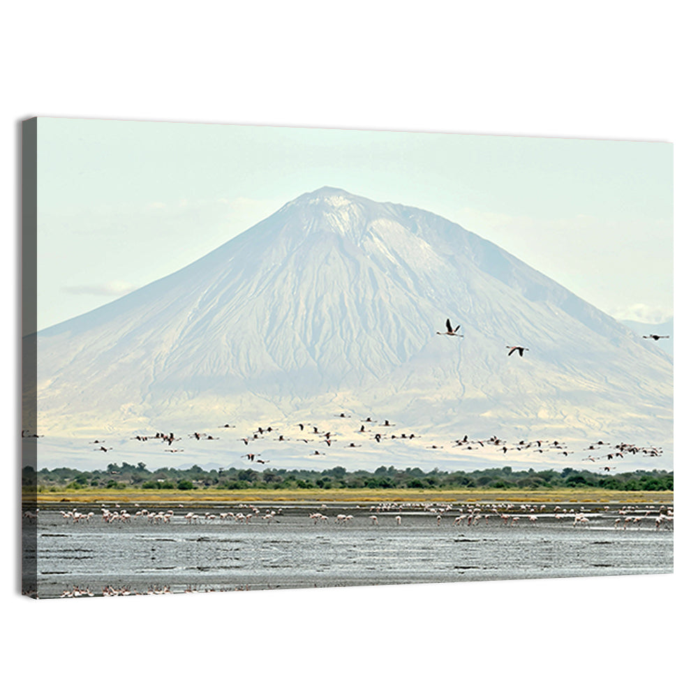 Flamingos Over Lake Natron, Doinyo Lengai Wall Art, canvas print, landscape