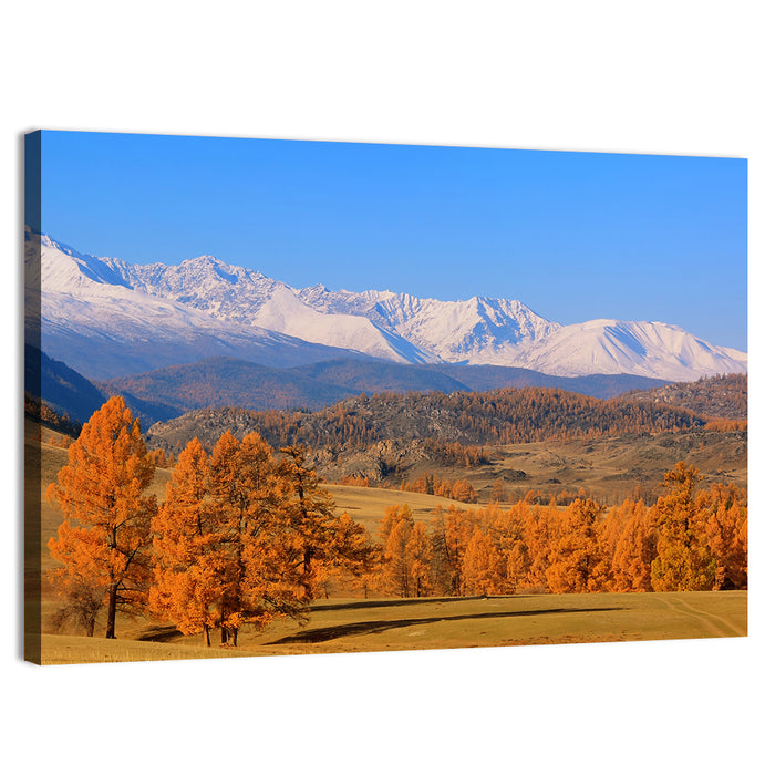 Altay Mountains with Golden Larches Wall Art as a canvas print