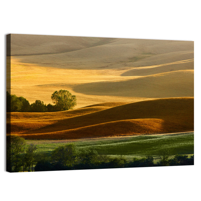 Golden Hills of Tuscany Wall Art as a canvas print