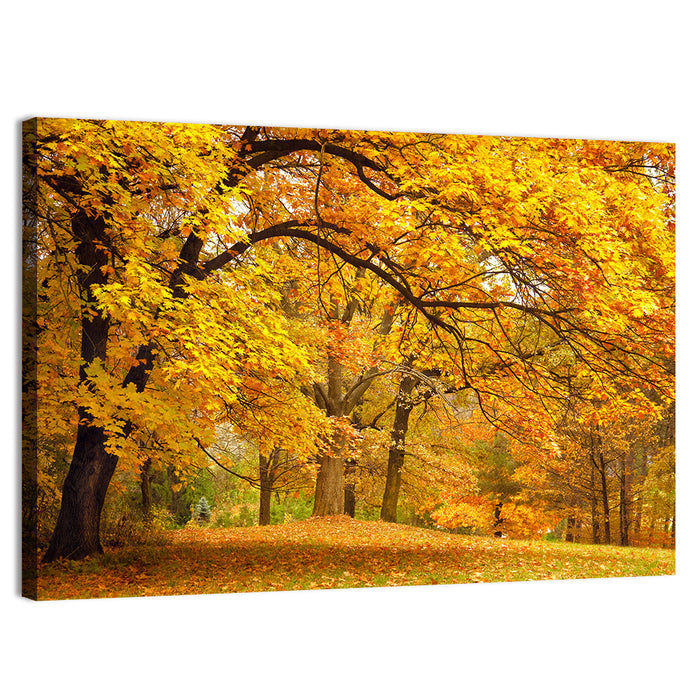 Golden Canopy in Autumn Park Wall Art as a canvas print