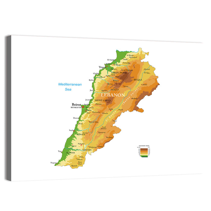 Lebanon Terrain Map Wall Art as a canvas print