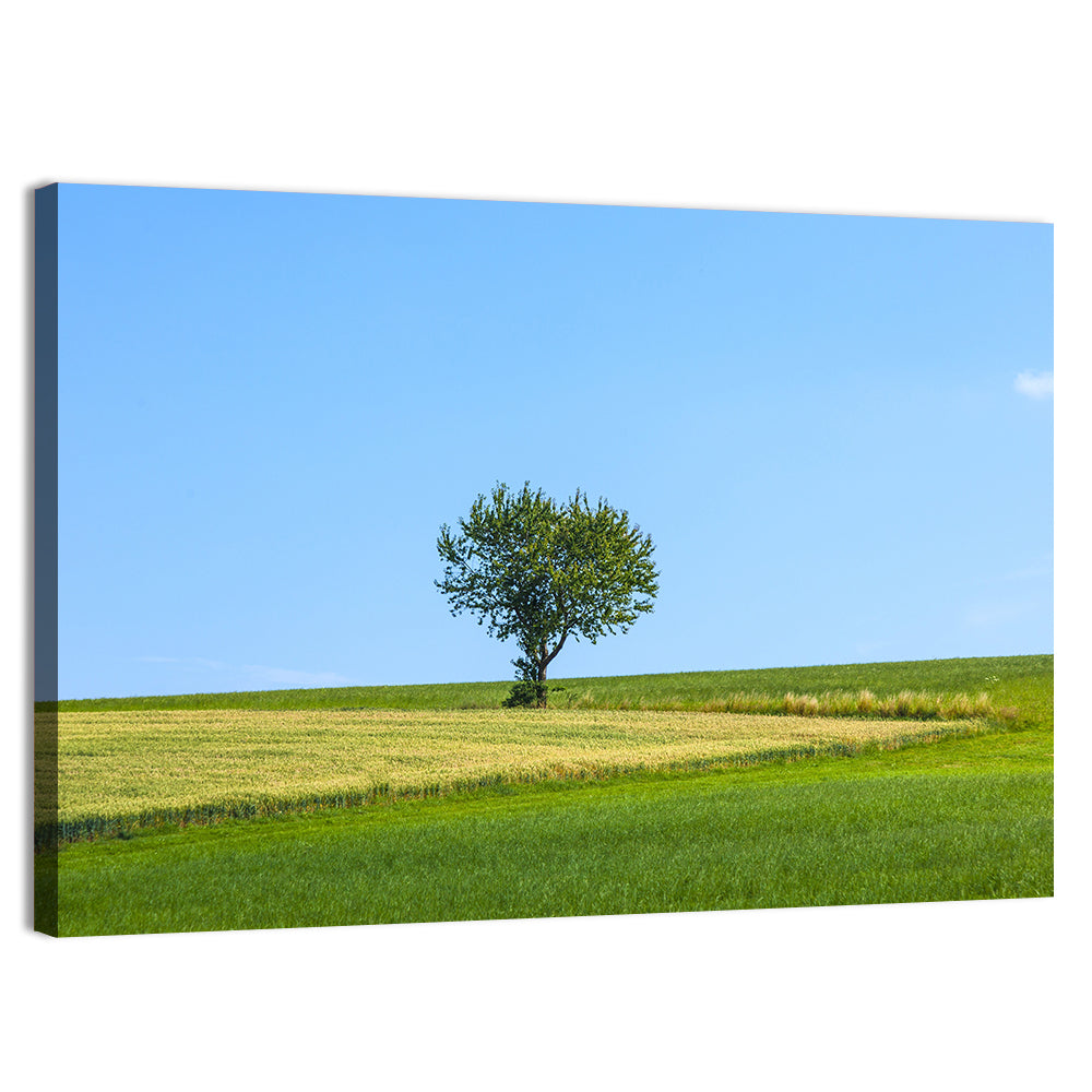 Solitary Tree on Rolling Meadow Wall Art, canvas print, landscape