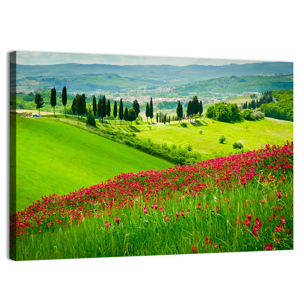Tuscany Hill with Red Wildflowers Wall Art, canvas print, landscape
