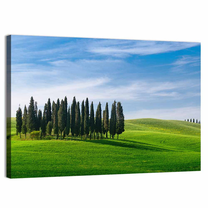 Tuscany Rolling Hills with Cypresses Wall Art as a canvas print