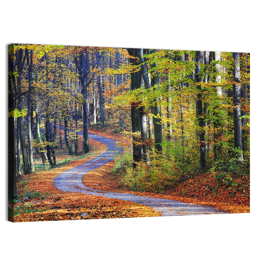 Winding Autumn Forest Path Wall Art, canvas print, landscape