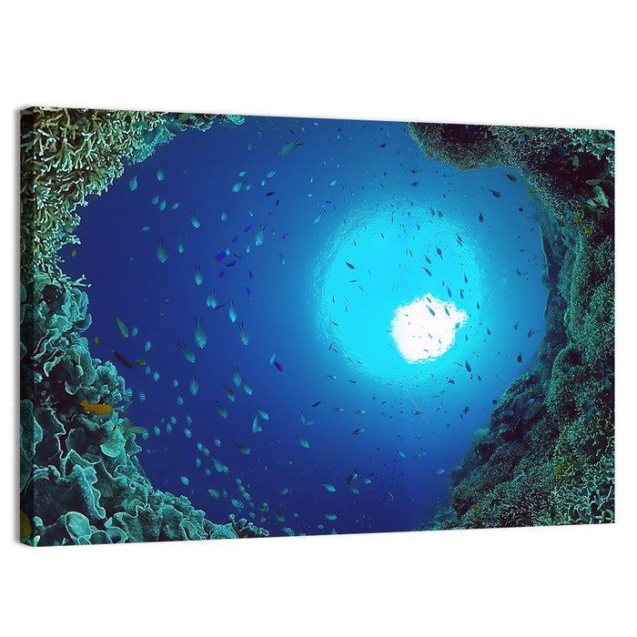 Sunlit Coral Reef with Tropical Fish Wall Art as a canvas print