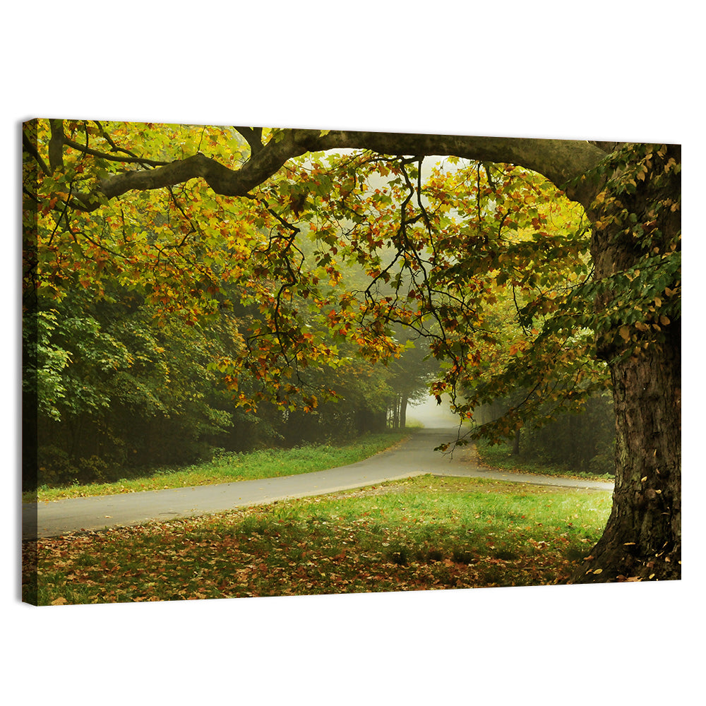 Foggy Autumn Forest Path Wall Art, canvas print, landscape