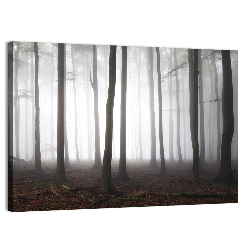 Misty Forest Perspective Wall Art, canvas print, landscape