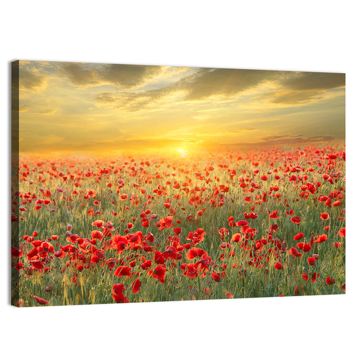 Poppy Field at Sunset Wall Art as a canvas print