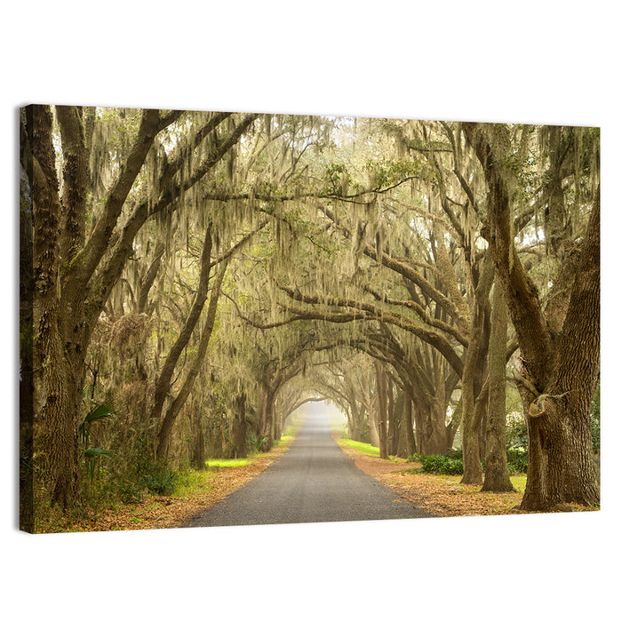 Spanish Moss Country Road Wall Art as a canvas print