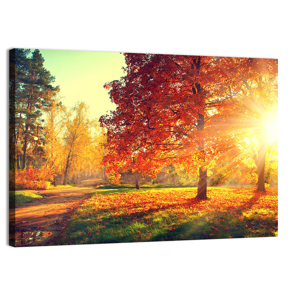 Sunlit Autumn Forest Path Wall Art, canvas print, landscape