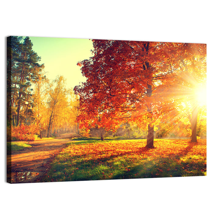 Sunlit Autumn Forest Path Wall Art as a canvas print