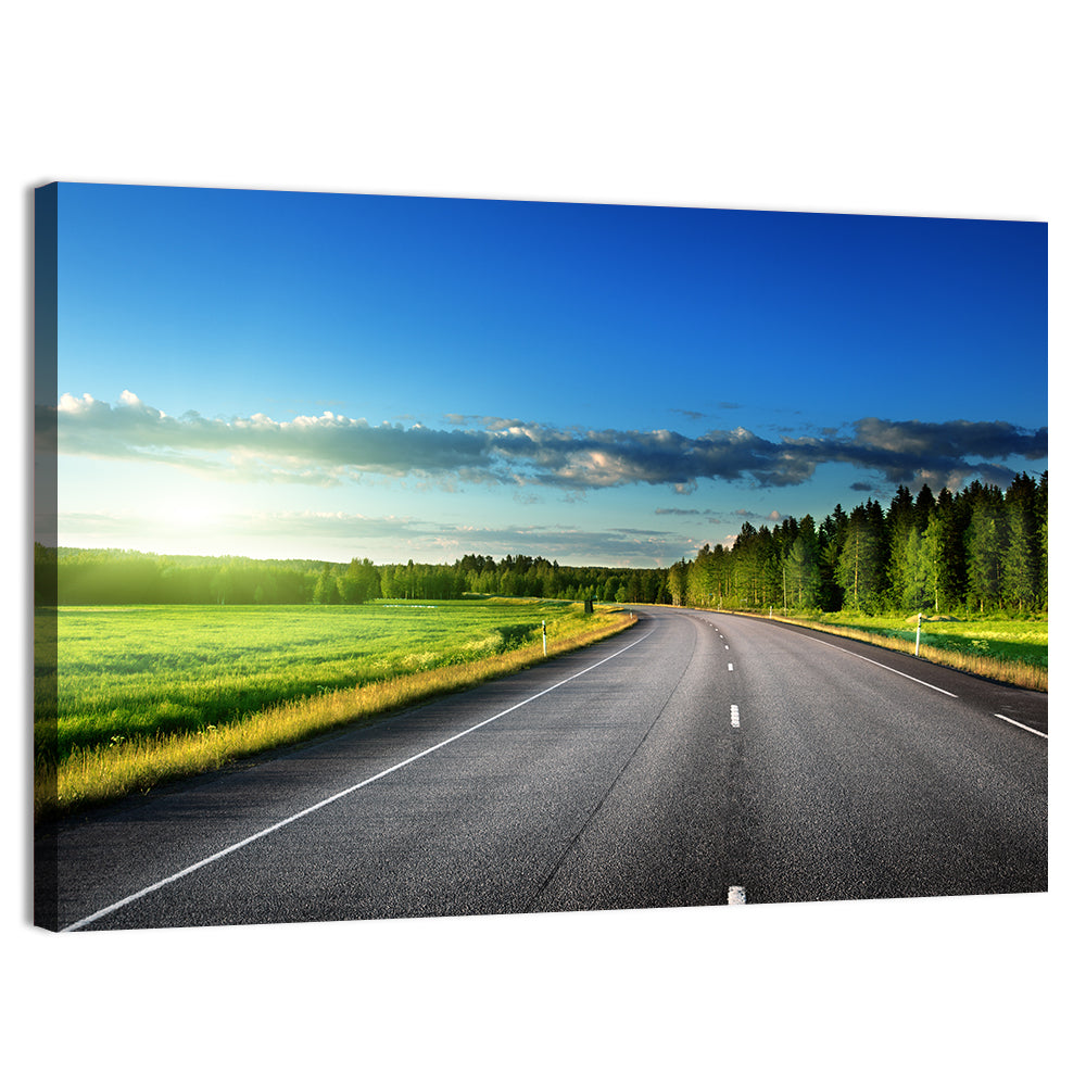 Curved Asphalt Road Through Forest Wall Art, canvas print, landscape