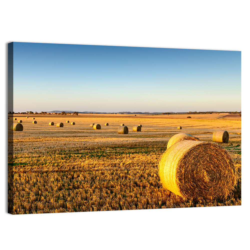 Hay Bales at Sunset Wall Art, canvas print, landscape