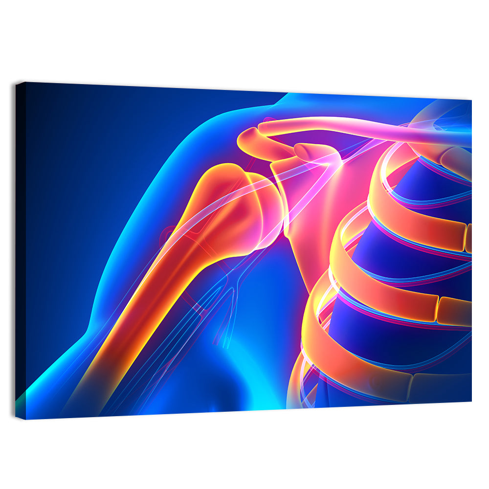 Shoulder Pain Anatomy Study Wall Art, canvas print, landscape