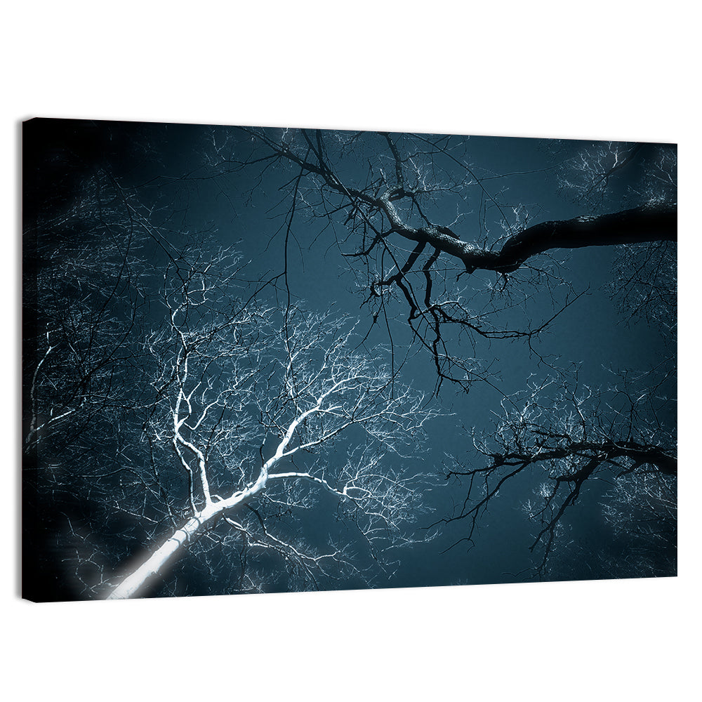 Twilight Canopy with Glowing Bark Wall Art, canvas print, landscape