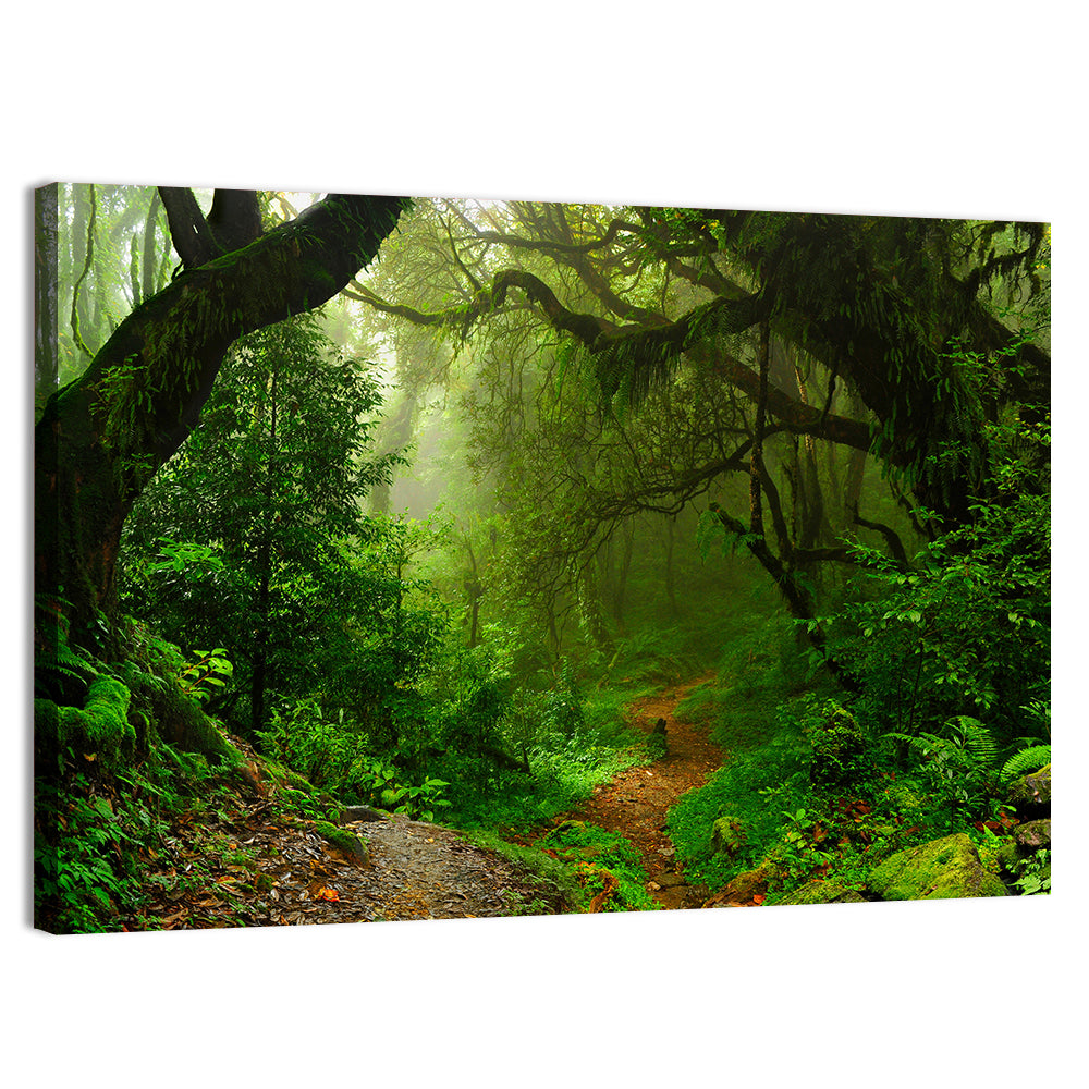 Misty Forest Trail in Nepal Wall Art, canvas print, landscape