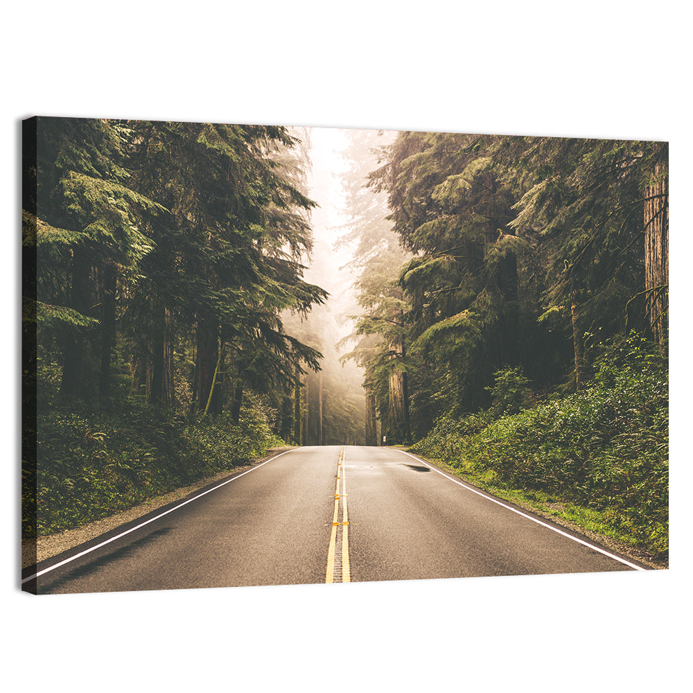 Redwood Highway In Northern California Wall Art