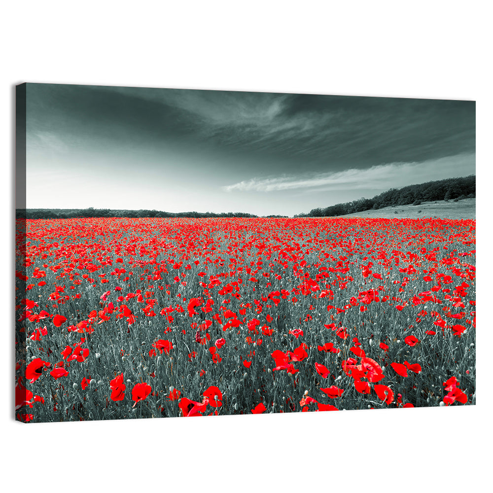Red Poppy Field Wall Art, canvas print, landscape