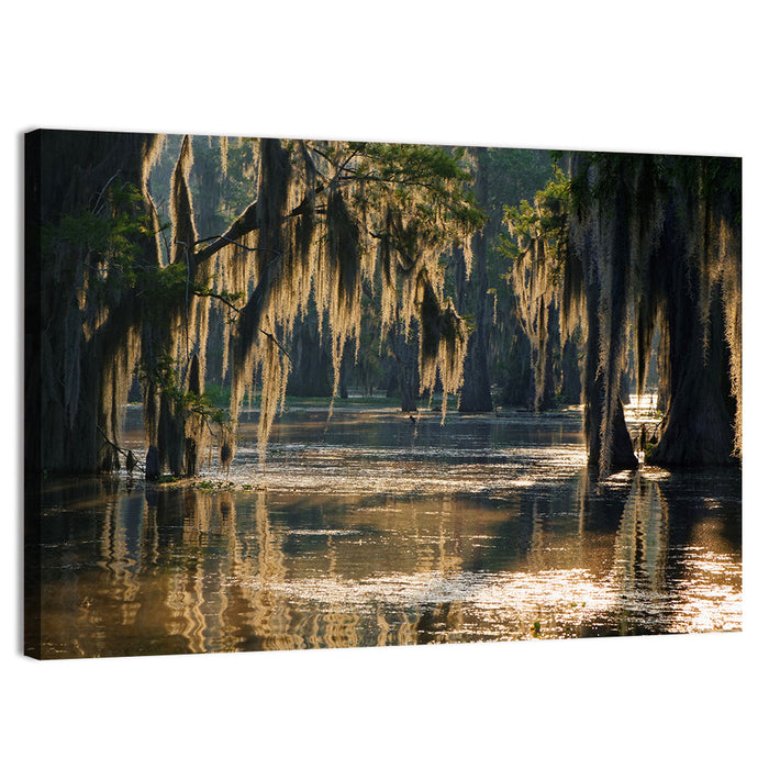 Spanish Moss in Louisiana Bayou Wall Art as a canvas print