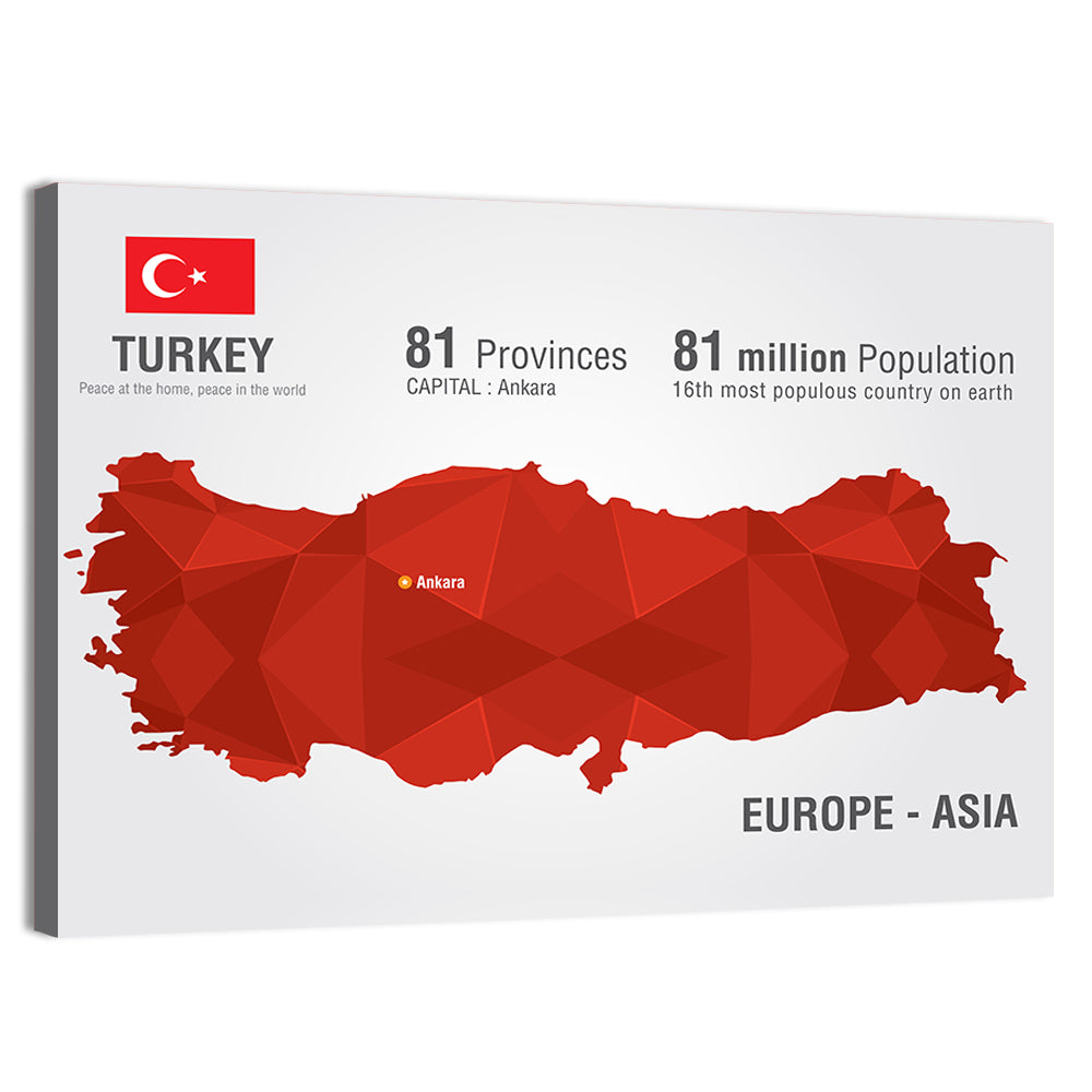 Turkey Map Infographic Wall Art, canvas print, landscape
