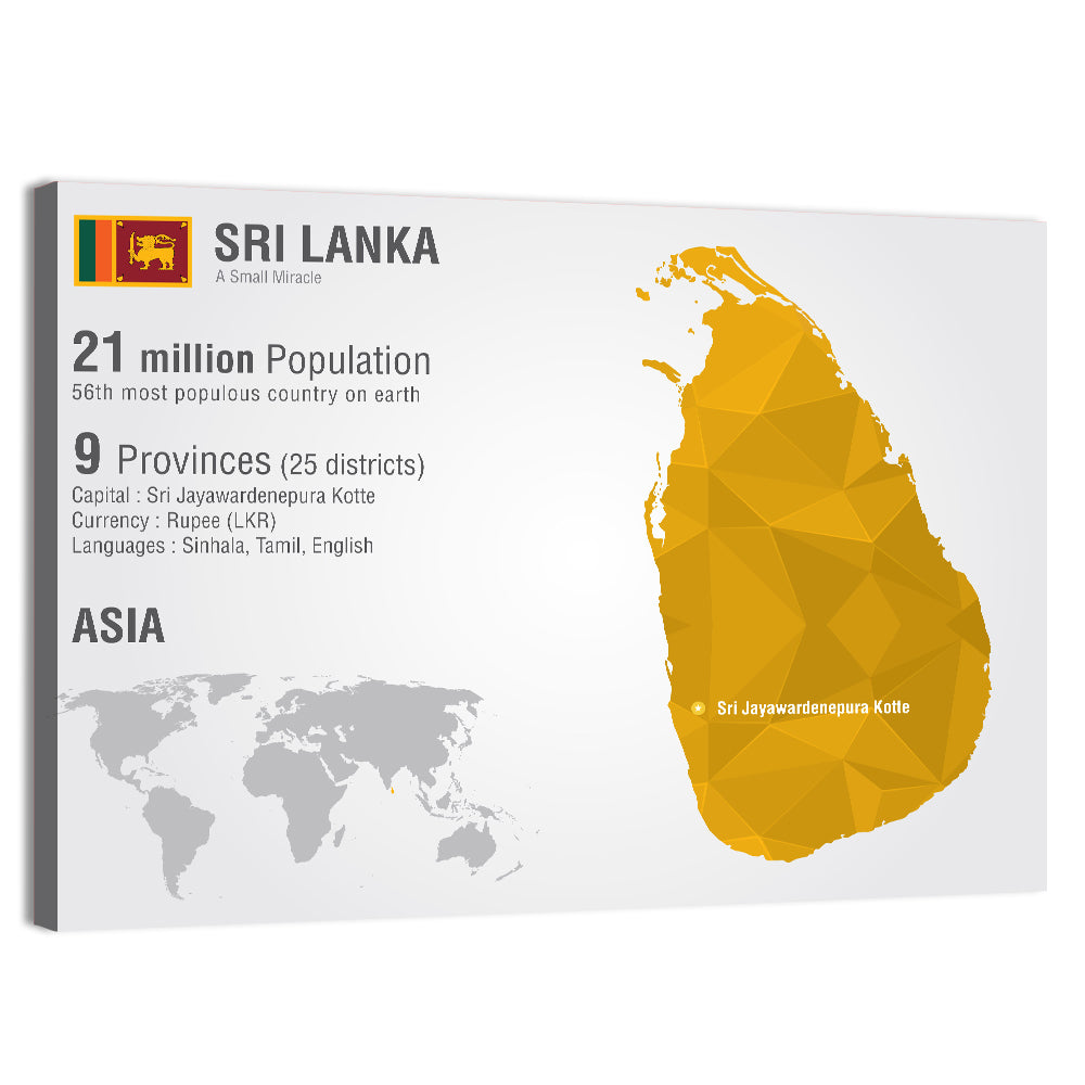 Sri Lanka Geometric Map Infographic Wall Art, canvas print, landscape