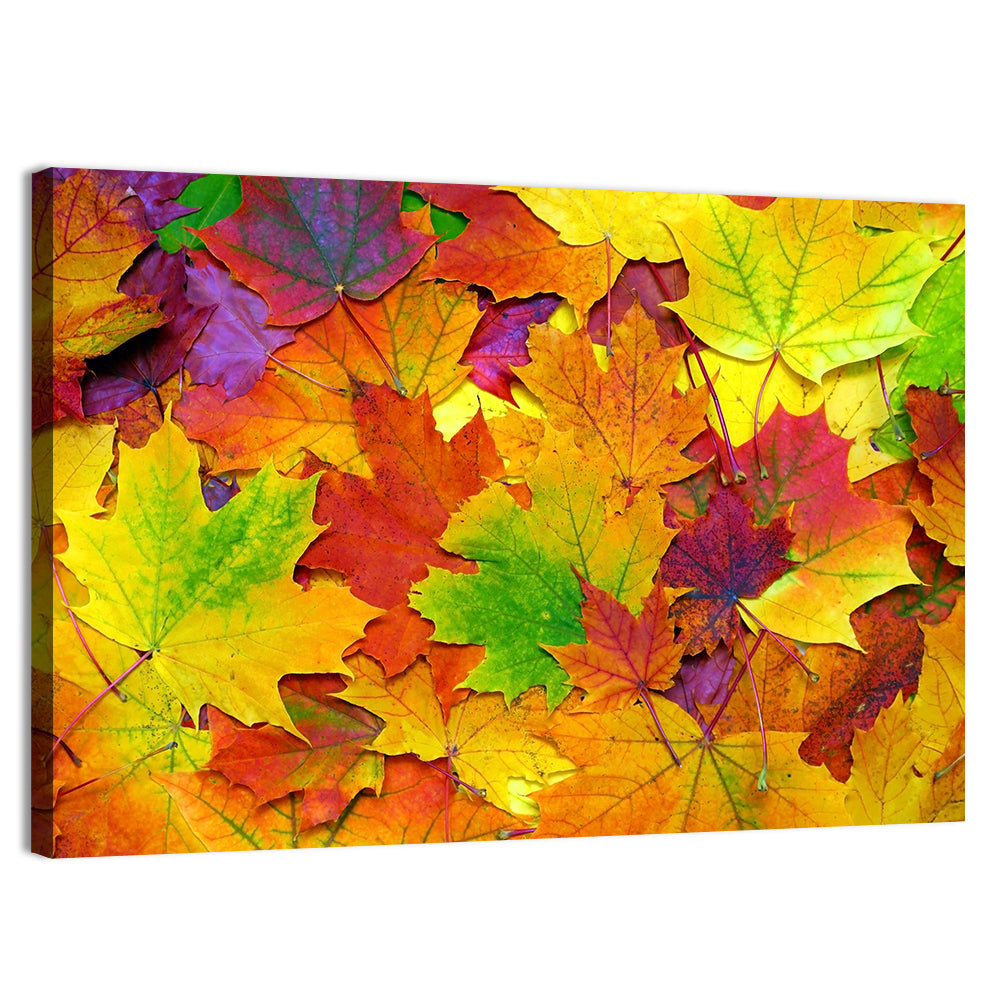Colorful Autumn Leaves Wall Art, canvas print, landscape