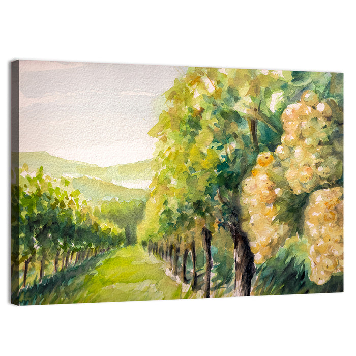 Sunlit Vineyard Watercolor Wall Art as a canvas print