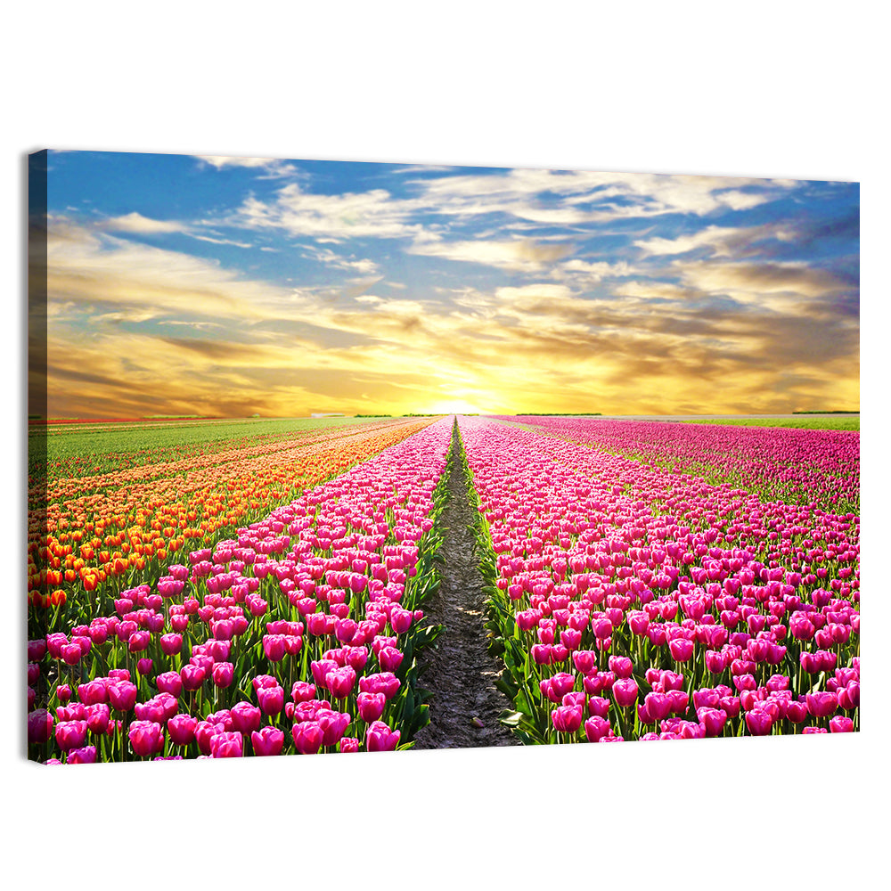 Sunrise Over Tulip Field Wall Art, canvas print, landscape