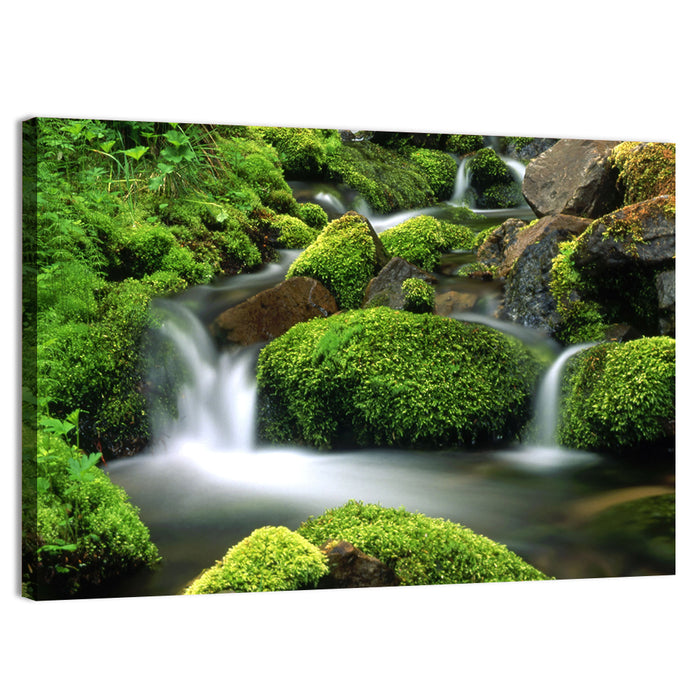 Mossy Mountain Stream Wall Art as a canvas print