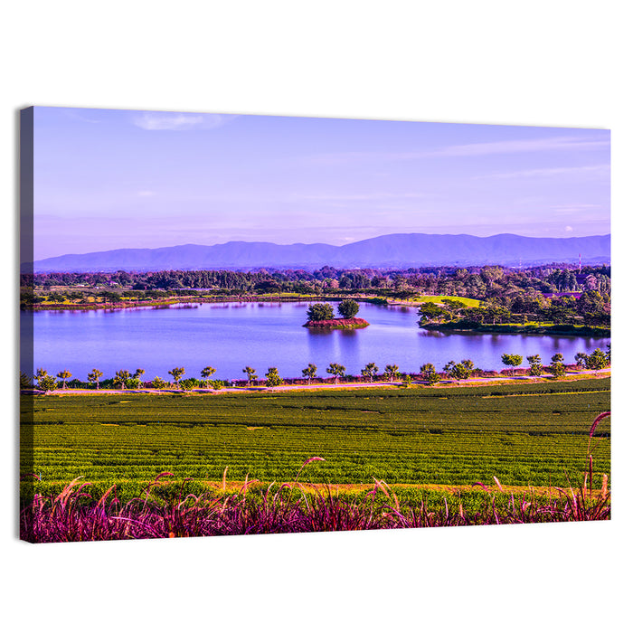 Thai Tea Plantation and Lake Wall Art as a canvas print
