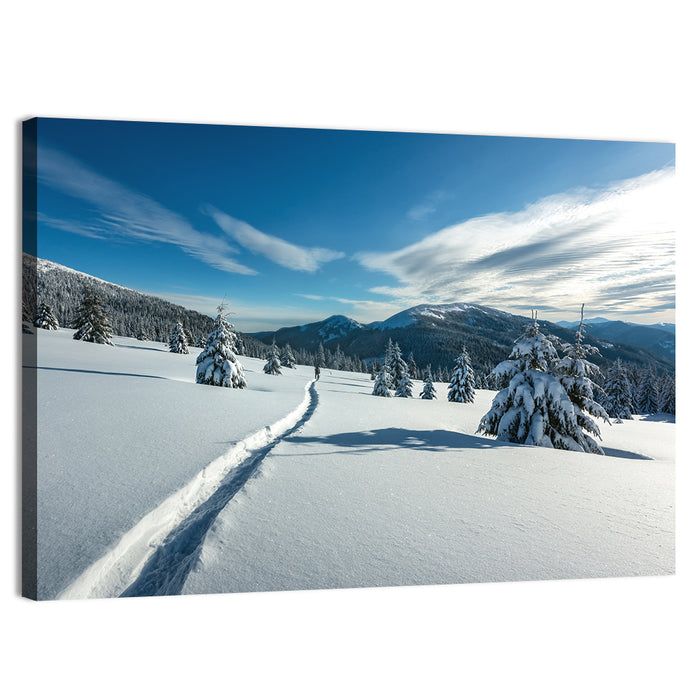 Snowy Carpathian Trail Wall Art as a canvas print