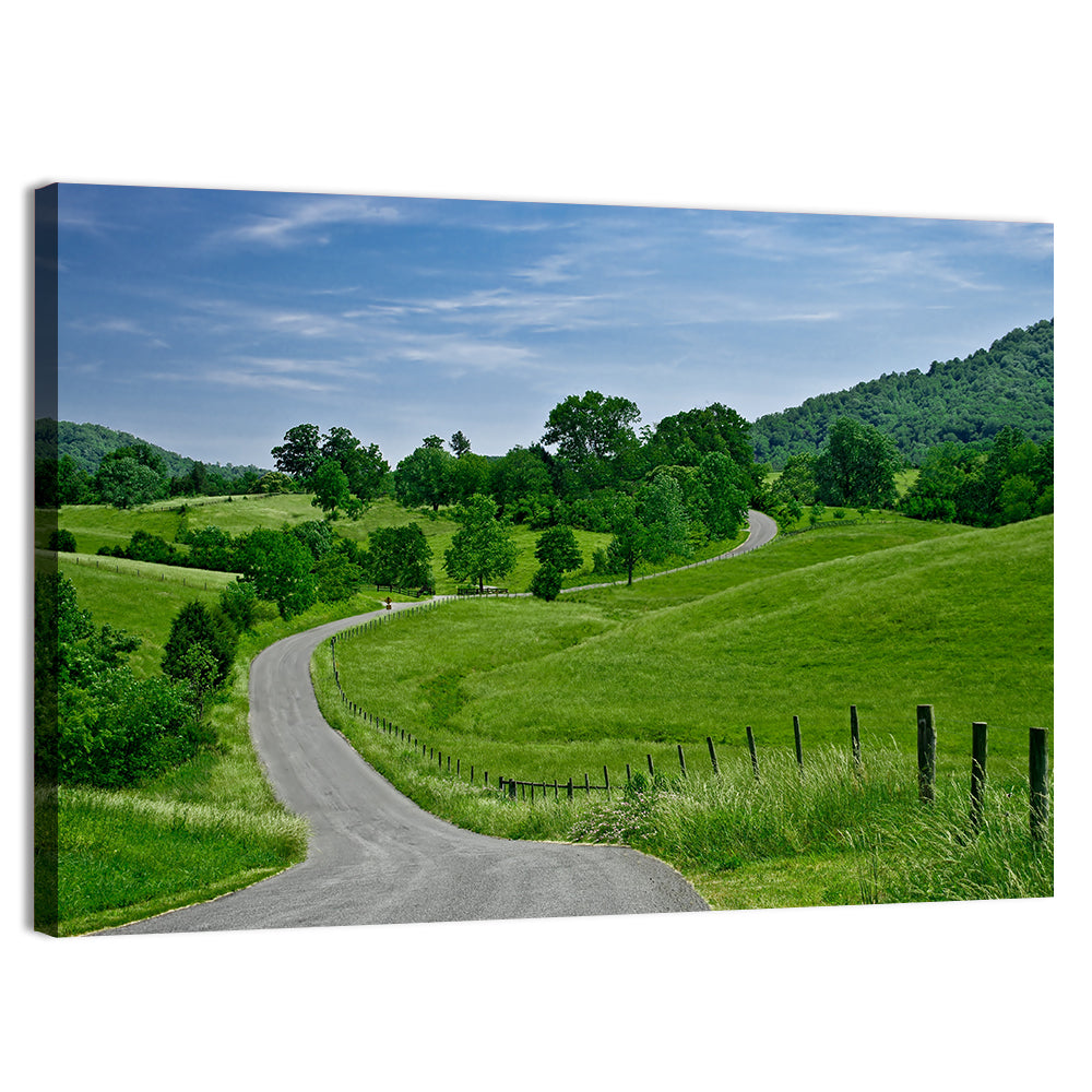Blue Ridge Winding Road, Western Virginia Wall Art, canvas print, landscape