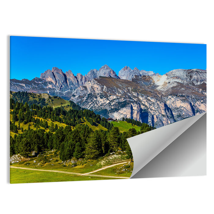 Alpine Meadow and Jagged Peaks Wall Art as a poster print