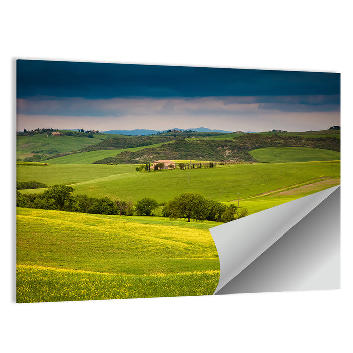 Tuscany in Summer Wall Art as a poster print