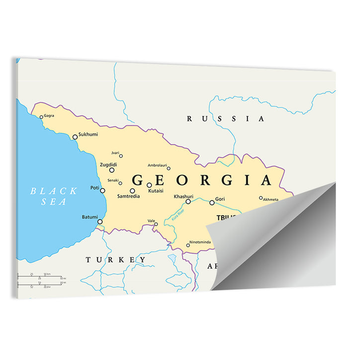 Georgia Political Map with Labeled Cities Wall Art as a poster print