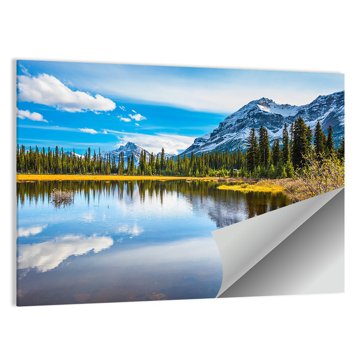 Marshy Lake Reflection in the Rocky Mountains Wall Art as a poster print