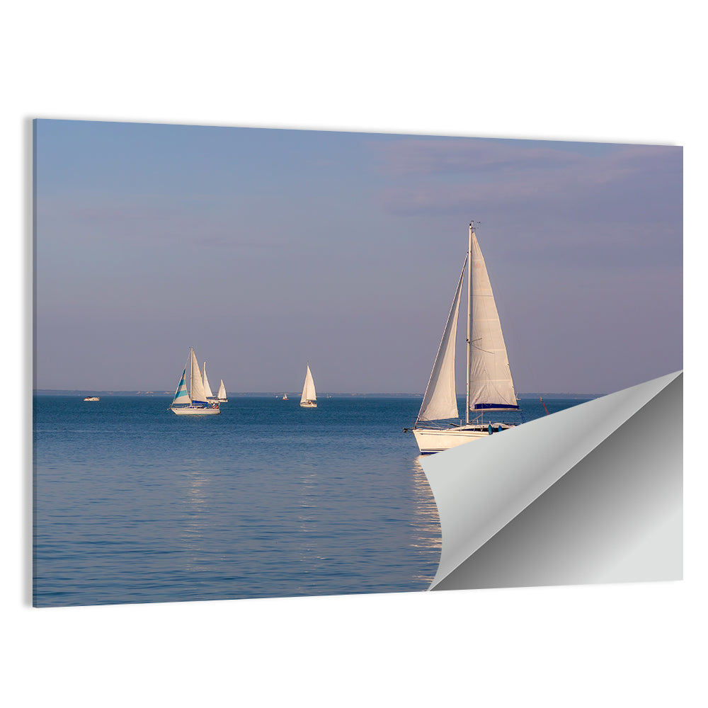 Lake Balaton With Sailboats Wall Art