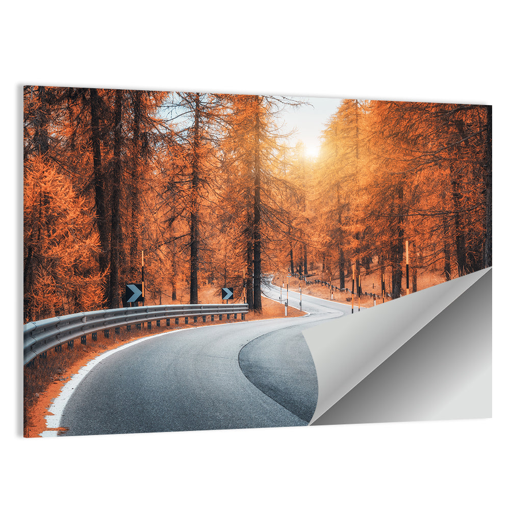 Road In Autumn Forest At Sunset Wall Art