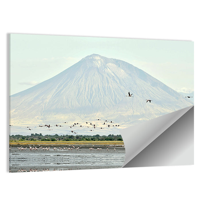 Flamingos Over Lake Natron, Doinyo Lengai Wall Art as a poster print
