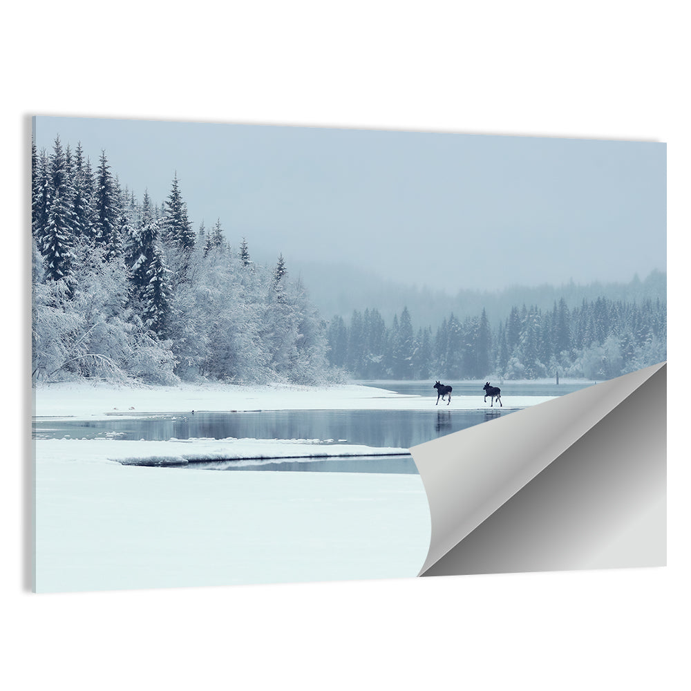 Foggy Lake Selbu Wall Art