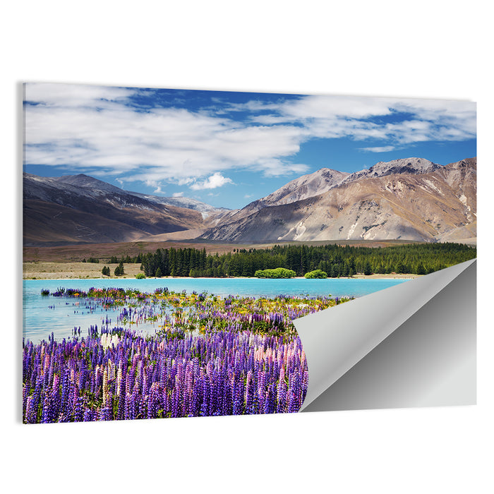 Lupines at Lake Tekapo Wall Art as a poster print