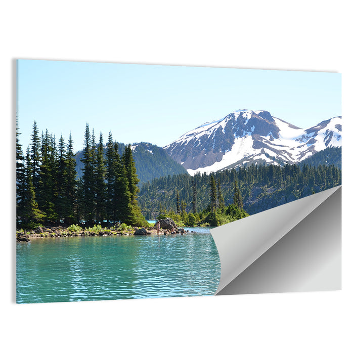 Garibaldi Lake Canada Wall Art as a poster print