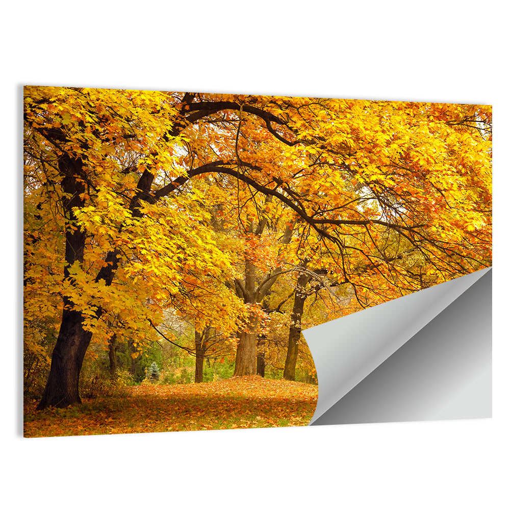 Autumn Gold Trees In Park Wall Art