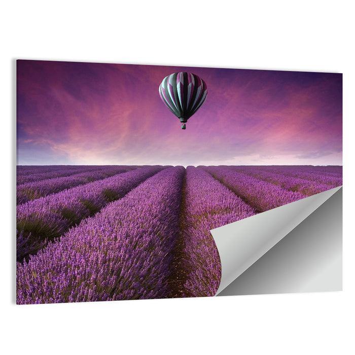 Hot Air Balloon Over Lavender Field Wall Art as a poster print