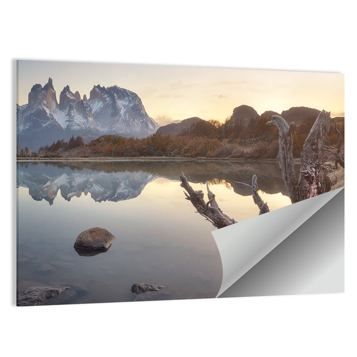 Cuernos Peaks and Driftwood, Pehoe Lake Wall Art as a poster print