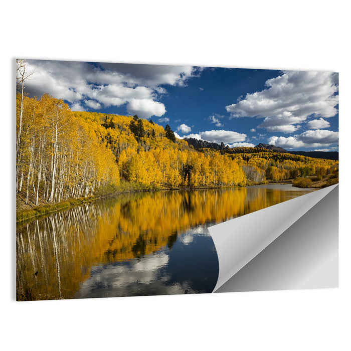 Cushman Lake Golden Aspens Wall Art as a poster print